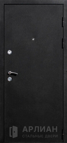 Фото «Порошковая дверь для квартиры №24»